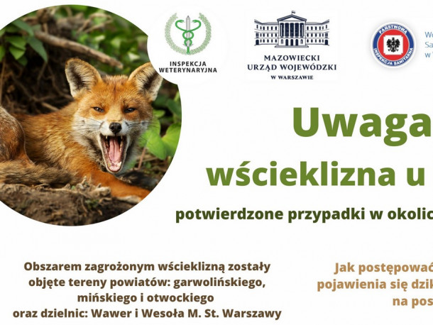 Obraz przedstawia Przypadki wścieklizny u lisów na terenie województwa mazowieckiego - komunikat kuratorium